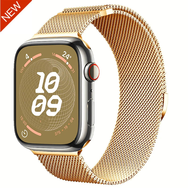 Infinity Mesh Horlogeband